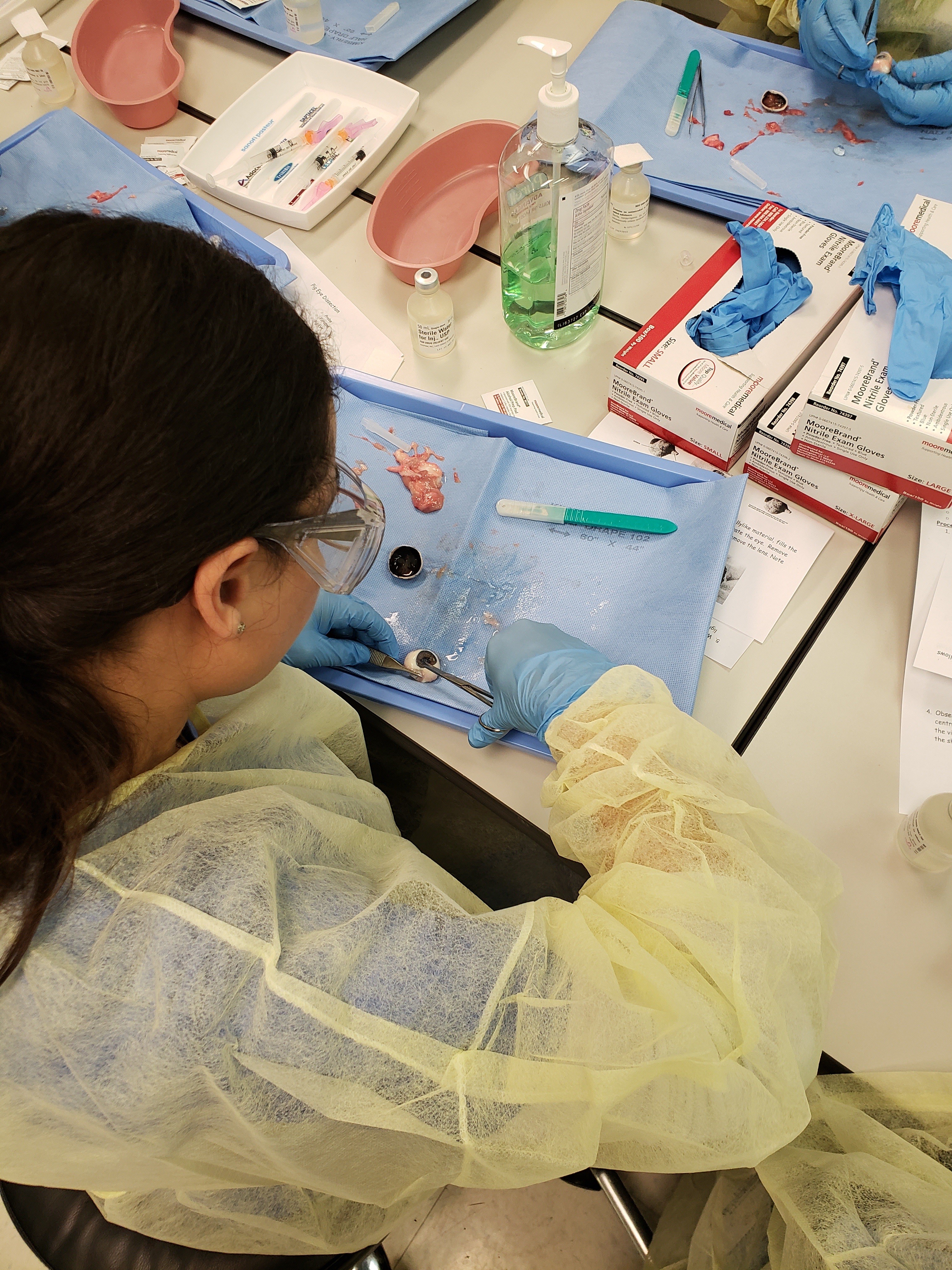 Students participating in Ophthalmology lab